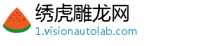 绣虎雕龙网
